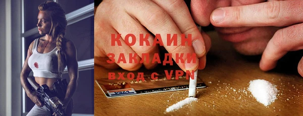крисы Михайловск