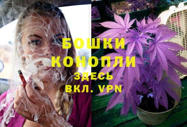 крисы Михайловск