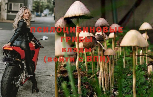 крисы Михайловск