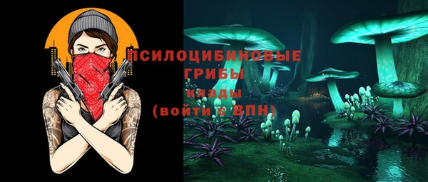 крисы Михайловск